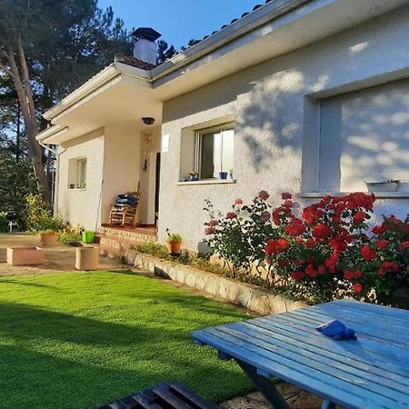Apartmán Entre Pinos Y Medusas Pedrezuela Exteriér fotografie