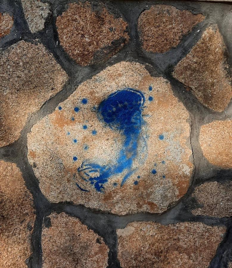 Apartmán Entre Pinos Y Medusas Pedrezuela Exteriér fotografie