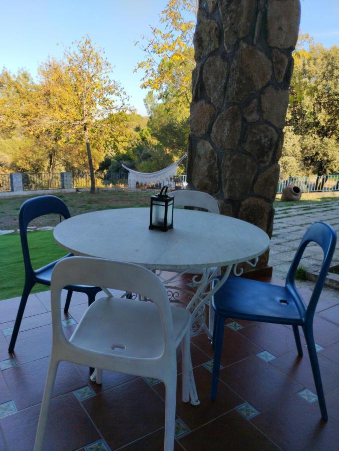 Apartmán Entre Pinos Y Medusas Pedrezuela Exteriér fotografie
